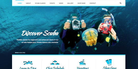 ny web design